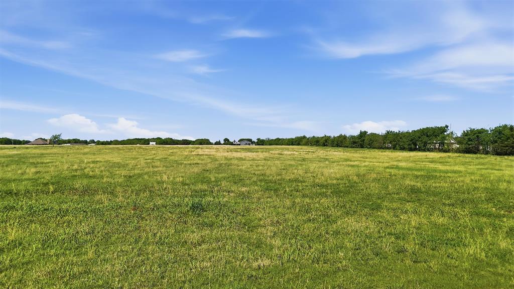 Tbd Pike Road Gunter, TX 75058 - Photo 8 of 26
