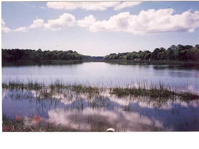 0 Willcap Road Wadmalaw Island, SC 29487 - Photo 1 of 1 Primary Photo