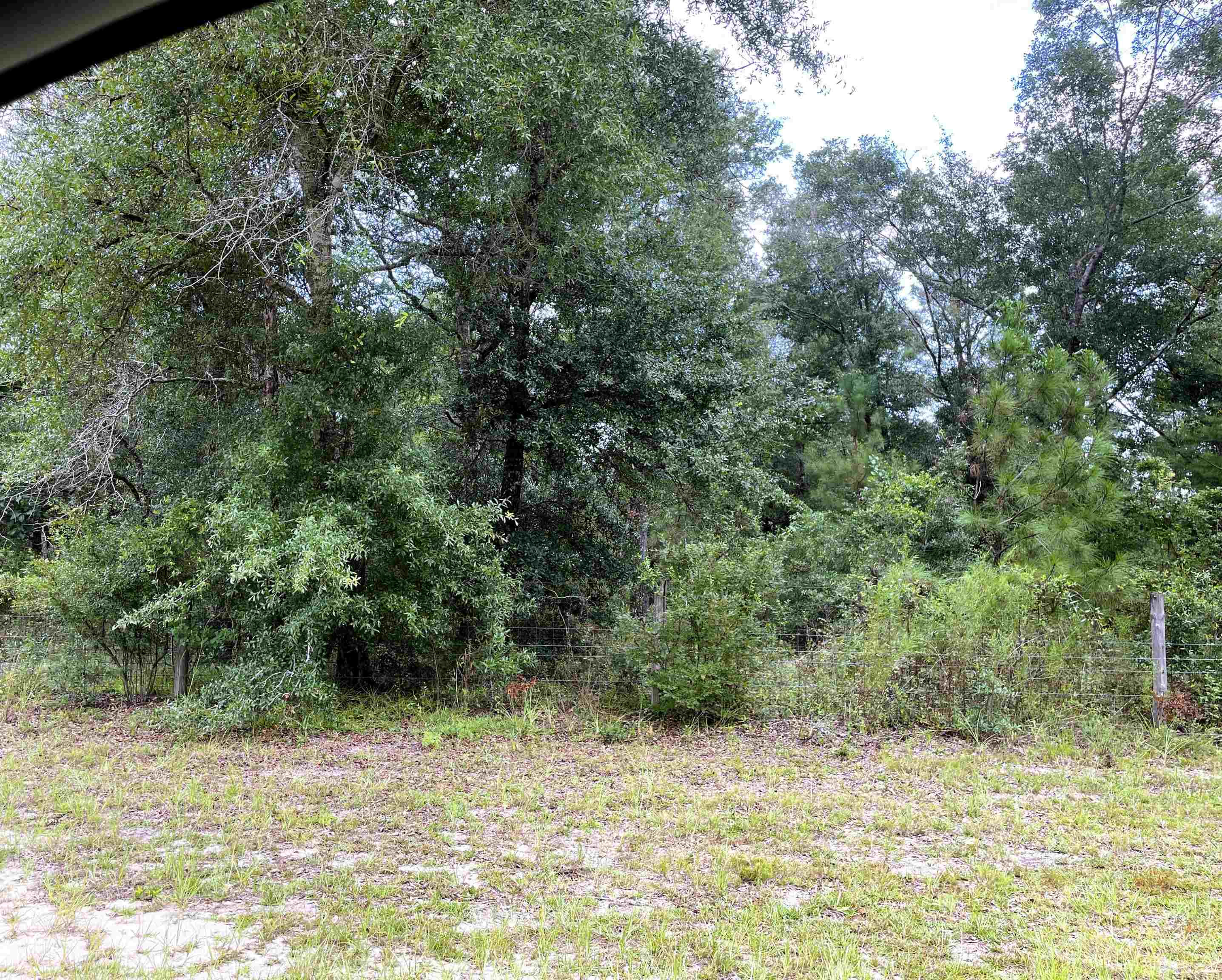 497 McPhaul Road Chattahoochee, FL 32324 - Photo 6 of 6