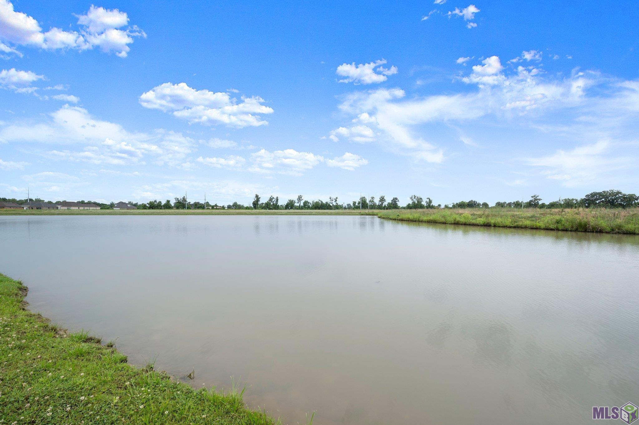 5207 White River Road Darrow, LA 70725 - Photo 20 of 20