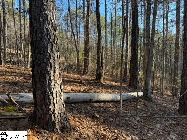 Mountain Mint Way Salem, SC 29676 - Photo 11 of 19