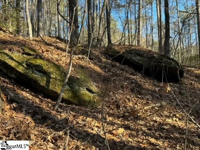 $31,848 | Mountain Mint Way, Salem, SC 29676