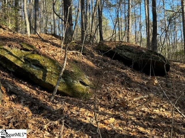 Mountain Mint Way Salem, SC 29676 - Photo 12 of 19