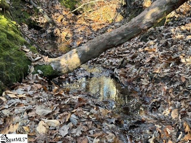 Mountain Mint Way Salem, SC 29676 - Photo 13 of 19