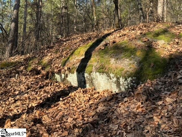 Mountain Mint Way Salem, SC 29676 - Photo 2 of 19