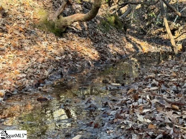 $31,848 | Mountain Mint Way, Salem, SC 29676