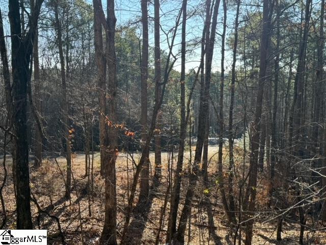 Mountain Mint Way Salem, SC 29676 - Photo 4 of 19