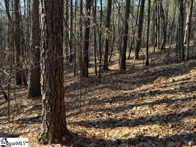 Mountain Mint Way Salem, SC 29676 - Photo 5 of 19