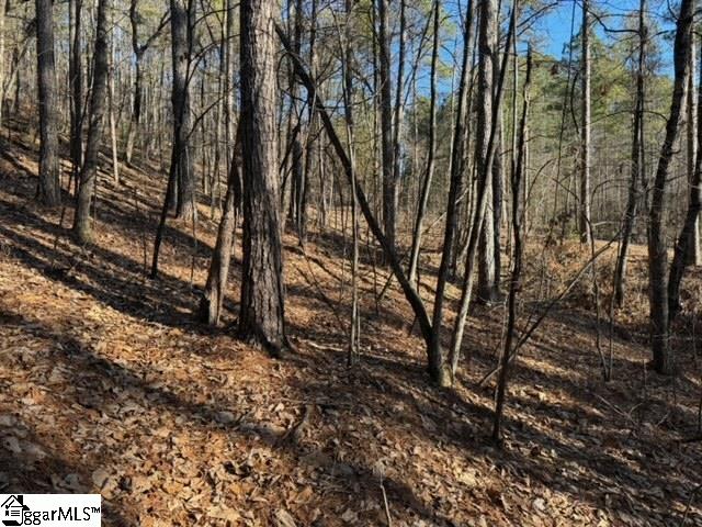 Mountain Mint Way Salem, SC 29676 - Photo 7 of 19