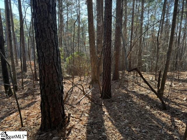 Mountain Mint Way Salem, SC 29676 - Photo 8 of 19