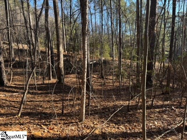Mountain Mint Way Salem, SC 29676 - Photo 9 of 19