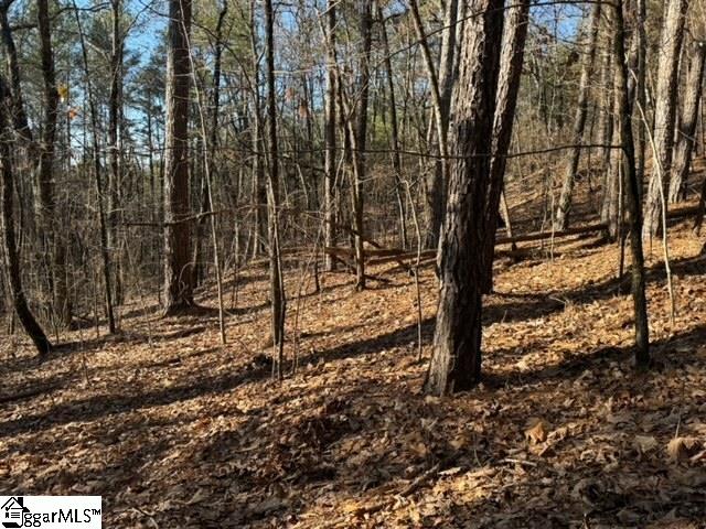 Mountain Mint Way Salem, SC 29676 - Photo 10 of 19