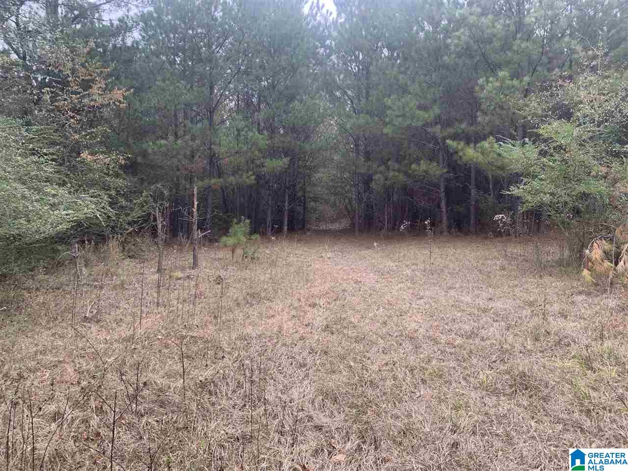 0 Homestead Drive, Unit 1 Springville, AL 35146 - Photo 19 of 32