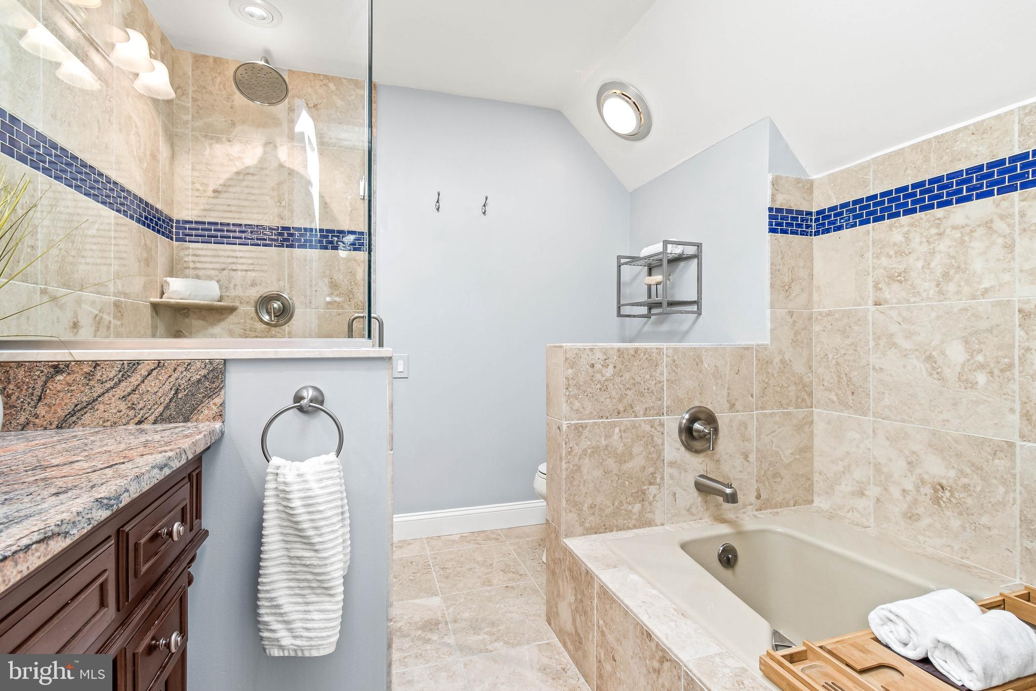 1 Compromise Street Annapolis, MD 21401 - Photo 22 of 39 Master bathroom with jacuzzi tub