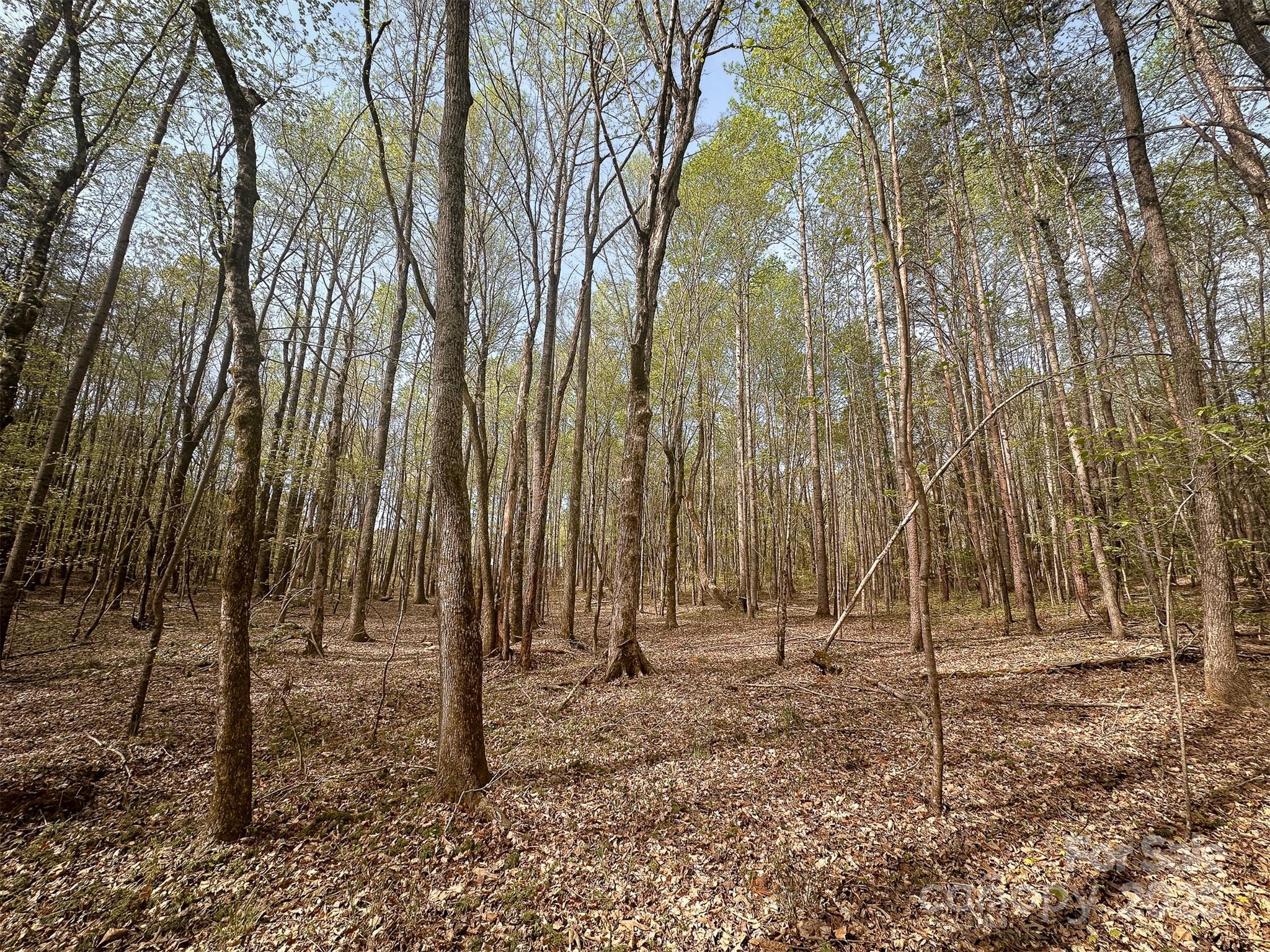 23-ac Ned Marsh Road Salisbury, NC 28146 - Photo 16 of 24