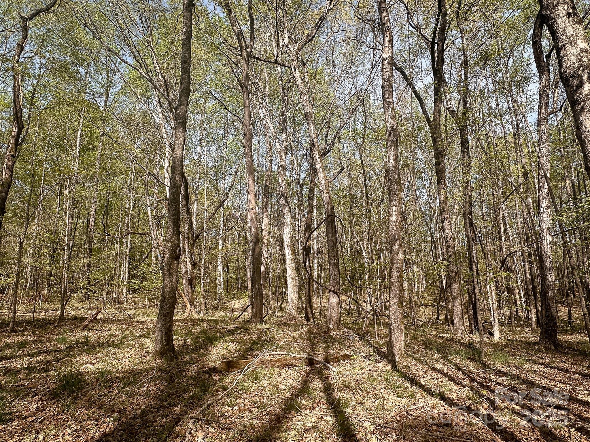 23-ac Ned Marsh Road Salisbury, NC 28146 - Photo 17 of 24