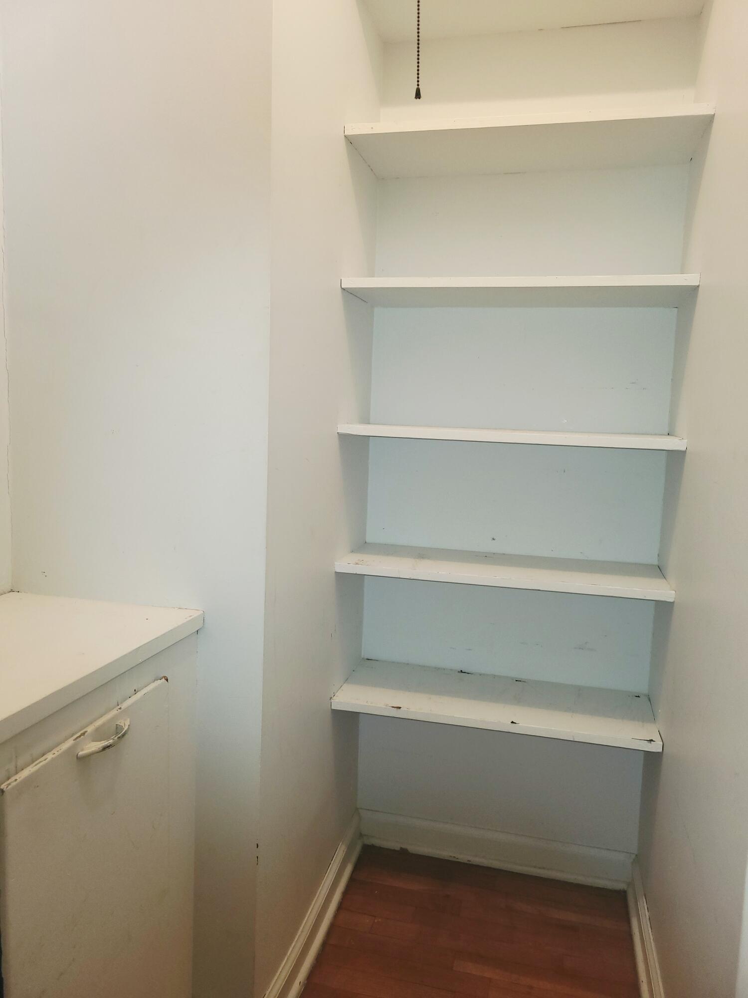 202 Cedar Street Decatur, MI 49045 - Photo 24 of 25 Storage Closet