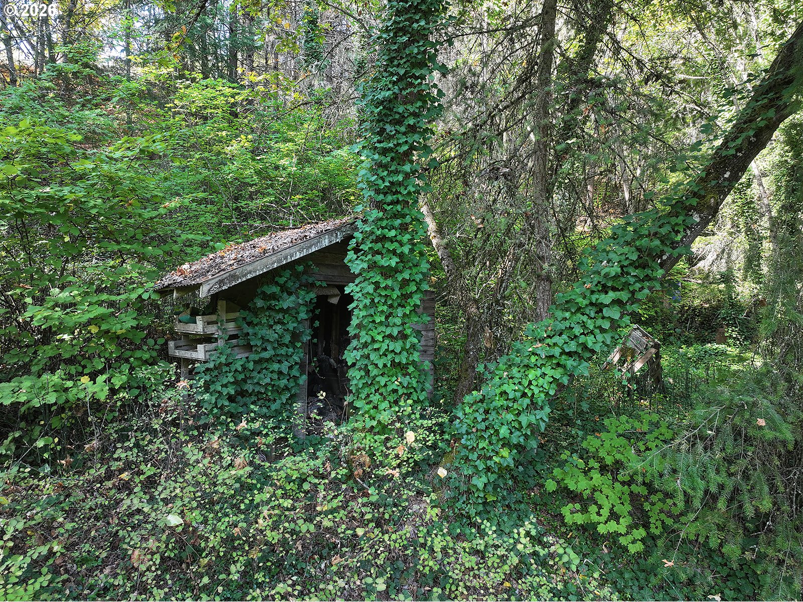 1250 Dry Creek Road Mosier, OR 97040 - Photo 23 of 42 Gallery Image 23
