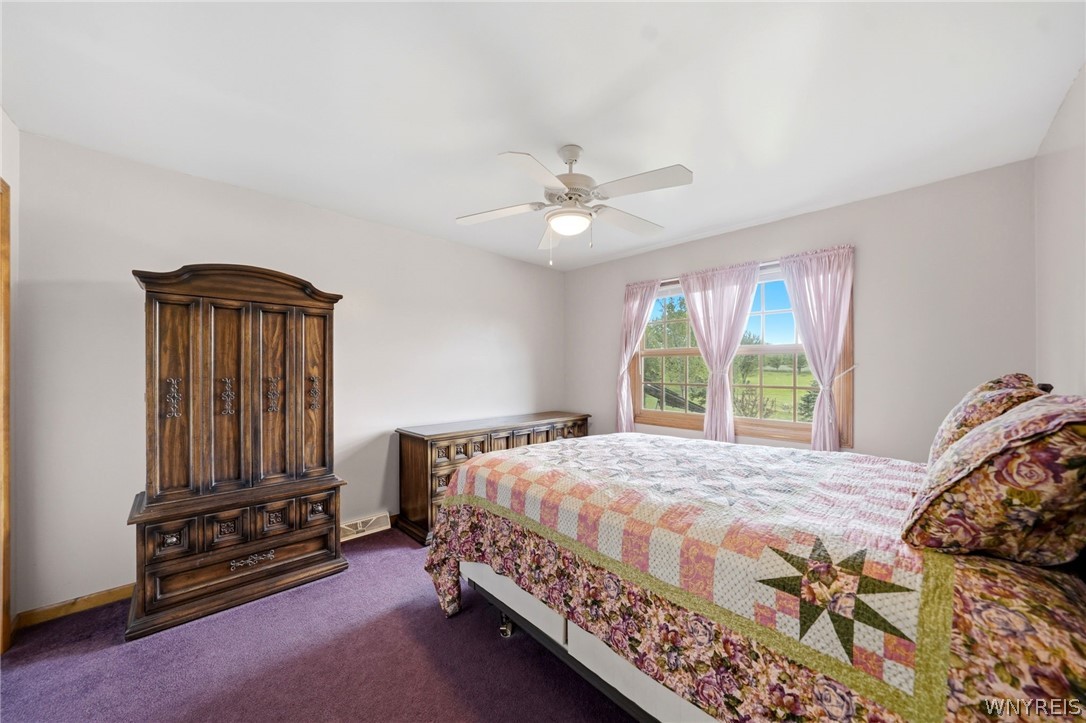 3525 North Boston Road Eden, NY 14057 - Photo 31 of 49