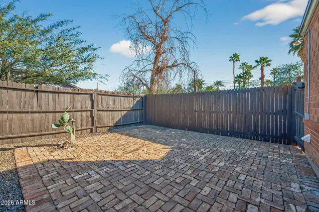 a view of a backyard with a potted plant