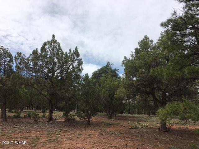 Tbd Tbd 43rd Show Low, AZ 85901 - Photo 15 of 29