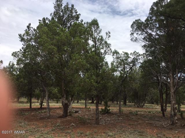 Tbd Tbd 43rd Show Low, AZ 85901 - Photo 20 of 29