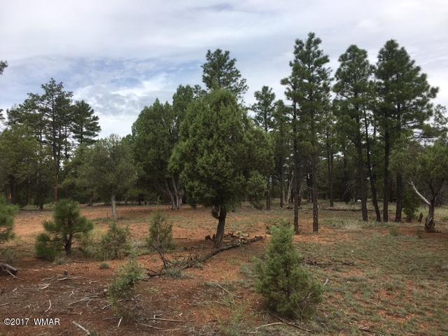Tbd Tbd 43rd Show Low, AZ 85901 - Photo 21 of 29