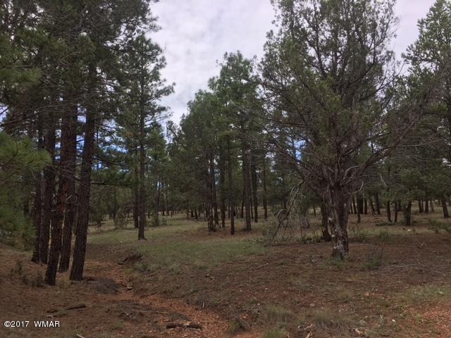 Tbd Tbd 43rd Show Low, AZ 85901 - Photo 23 of 29