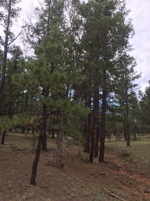 Tbd Tbd 43rd Show Low, AZ 85901 - Photo 24 of 29