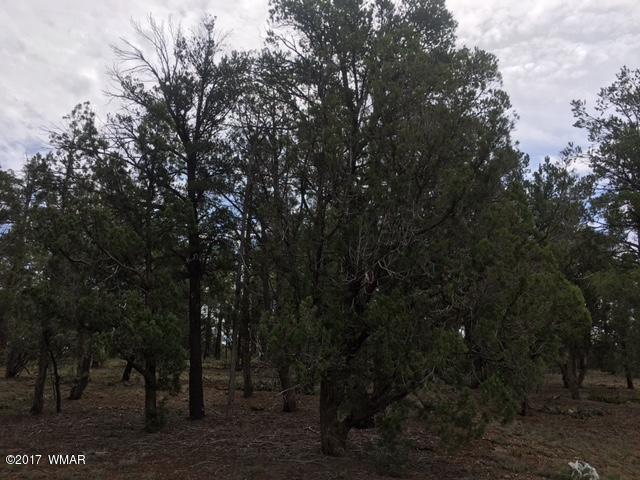 Tbd Tbd 43rd Show Low, AZ 85901 - Photo 7 of 29