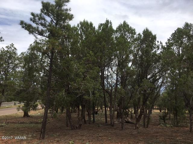 Tbd Tbd 43rd Show Low, AZ 85901 - Photo 10 of 29