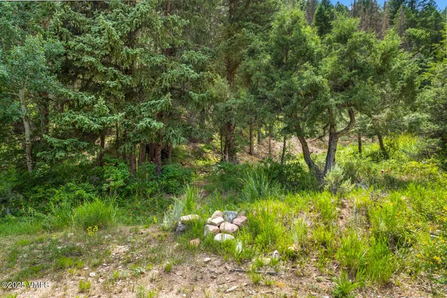 $2,995,000 | 1153 Squaw Creek Road, Edwards, CO 81632