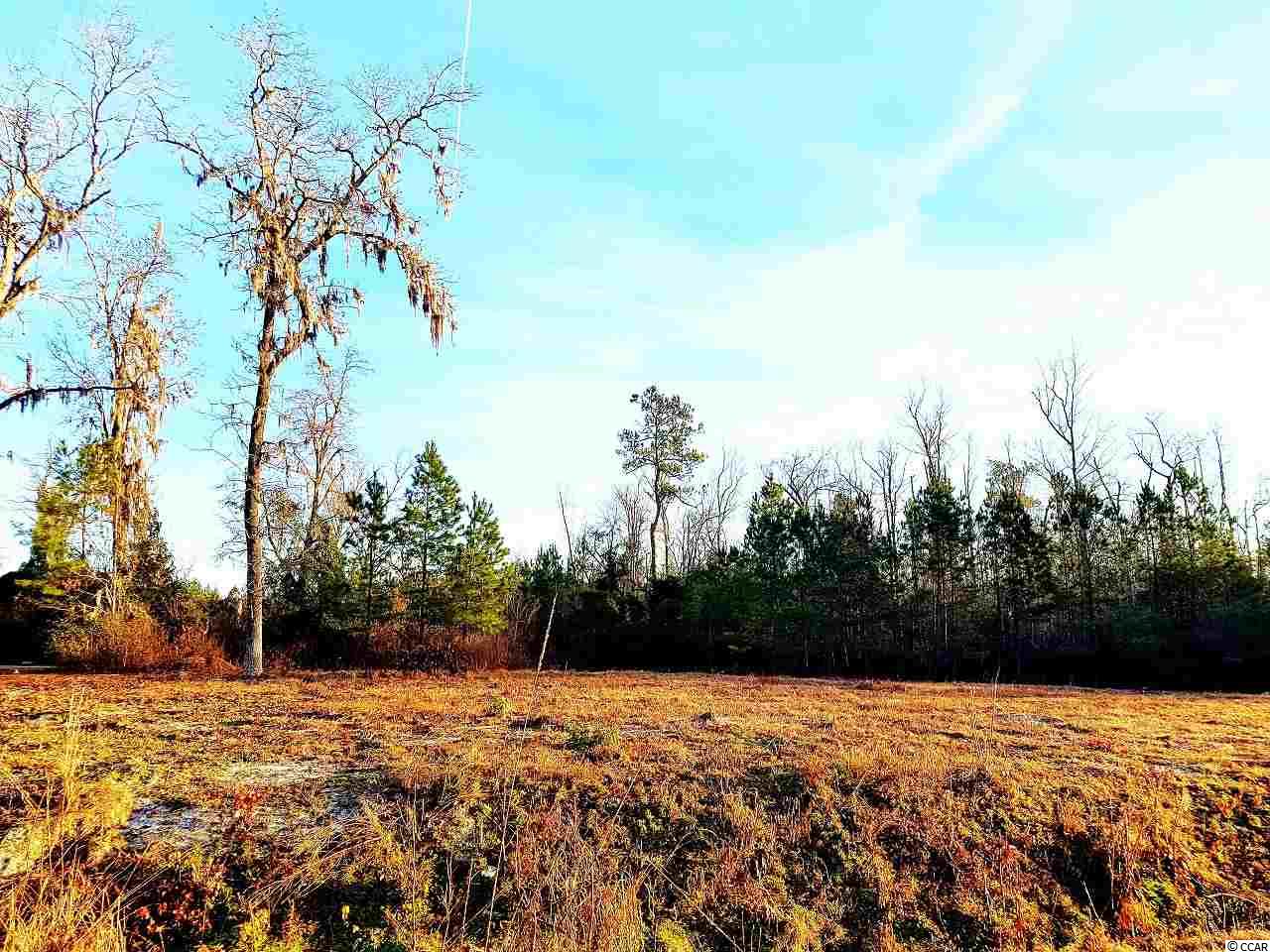 Tbd Lot 2 Pisgah Church Road Aynor, SC 29511 - Photo 1 of 4 Gallery Image 1