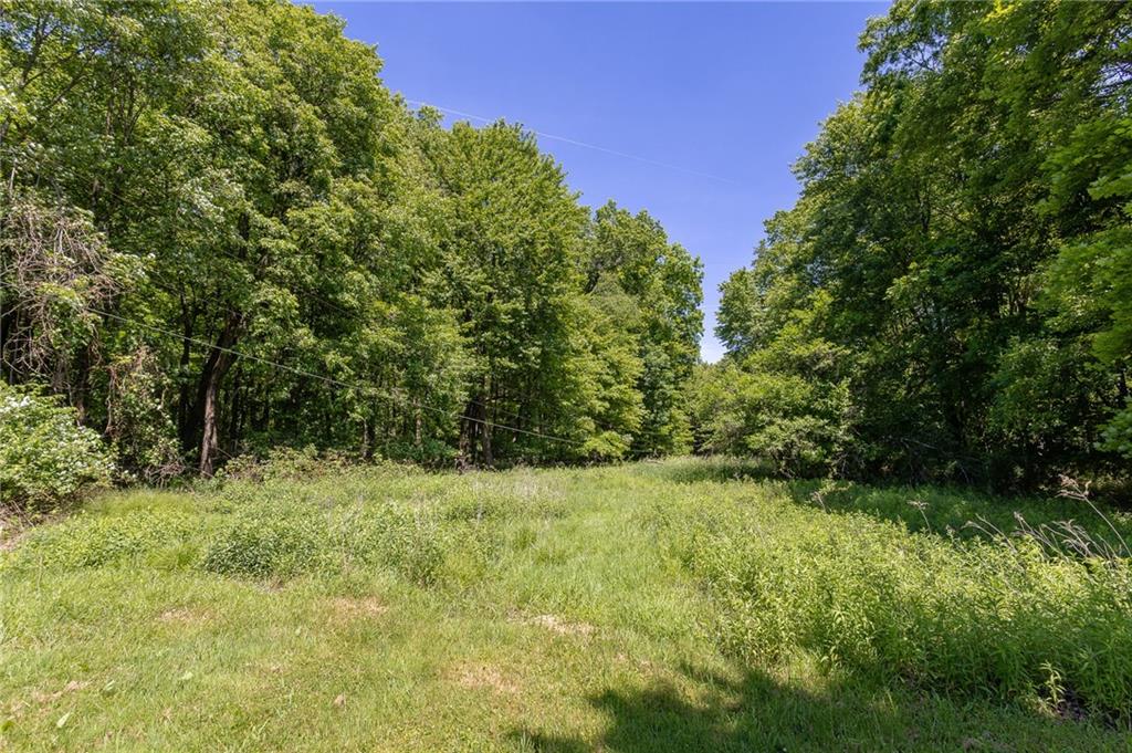 2161 Georgetown Road Sandy Lake, PA 16145 - Photo 19 of 20