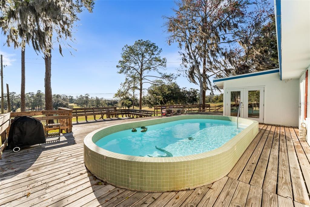 2737 Southwest 4th Place Gainesville, FL 32607 - Photo 4 of 59