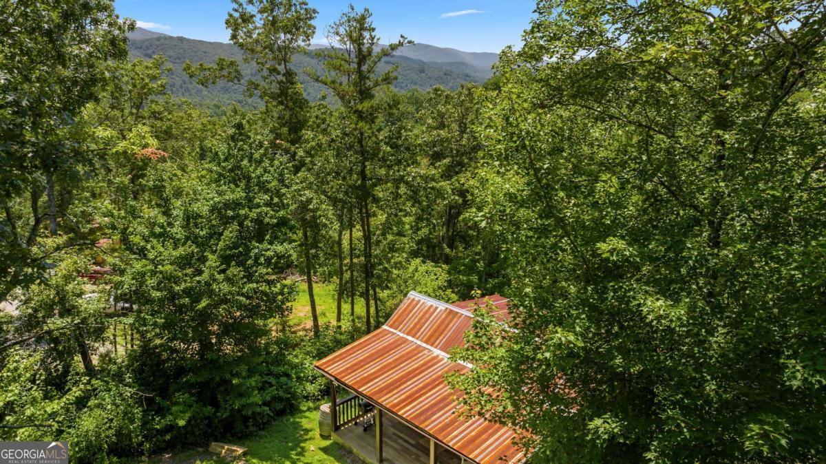 120 Community Hill Drive Blue Ridge, GA 30513 - Photo 25 of 57 a view of a yard with plants and wooden bench