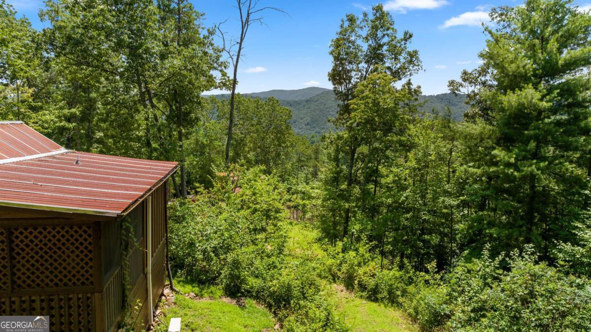 120 Community Hill Drive Blue Ridge, GA 30513 - Photo 26 of 57