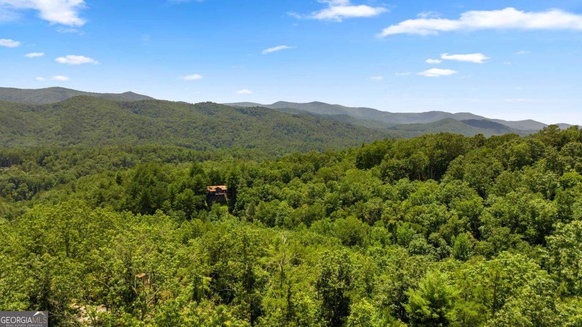 120 Community Hill Drive Blue Ridge, GA 30513 - Photo 27 of 57 a view of a lush green forest with mountains in the background