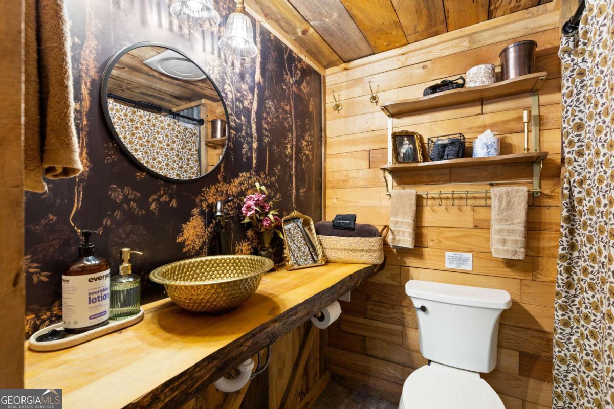 120 Community Hill Drive Blue Ridge, GA 30513 - Photo 39 of 57 a bathroom with a toilet a sink and a mirror