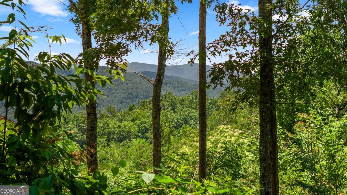 120 Community Hill Drive Blue Ridge, GA 30513 - Photo 4 of 57 a view of a garden