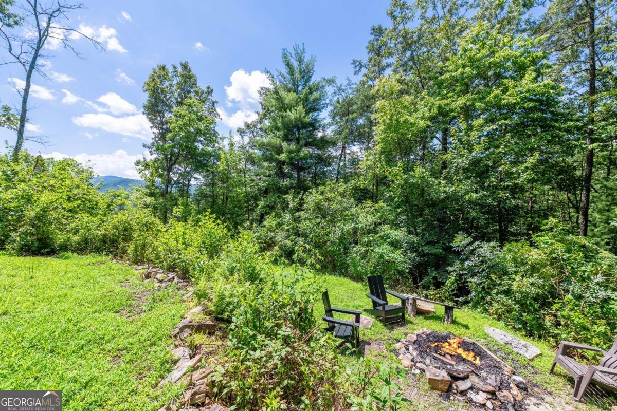 120 Community Hill Drive Blue Ridge, GA 30513 - Photo 49 of 57