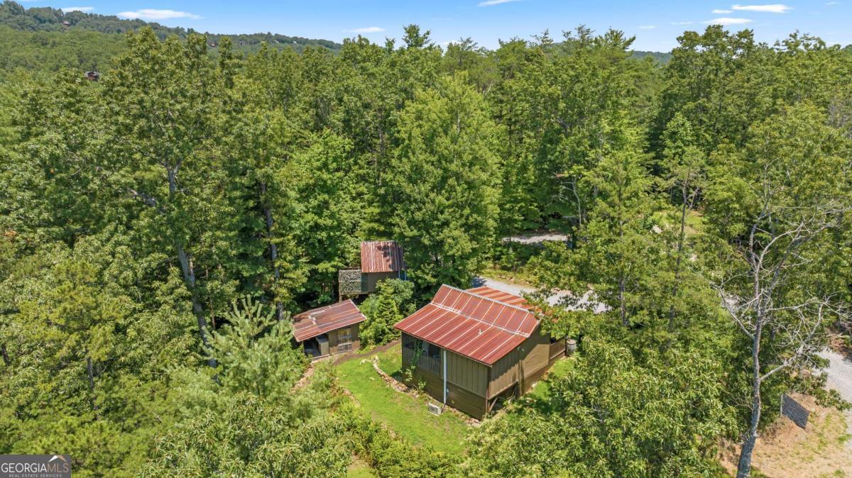 120 Community Hill Drive Blue Ridge, GA 30513 - Photo 56 of 57