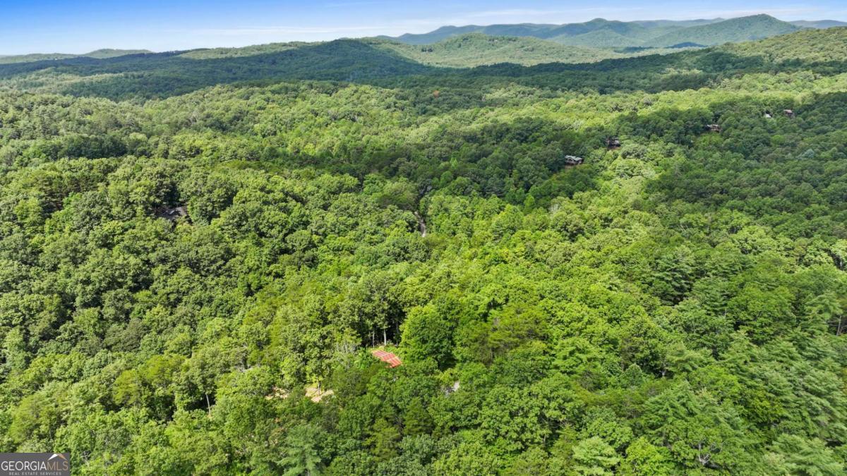 120 Community Hill Drive Blue Ridge, GA 30513 - Photo 57 of 57