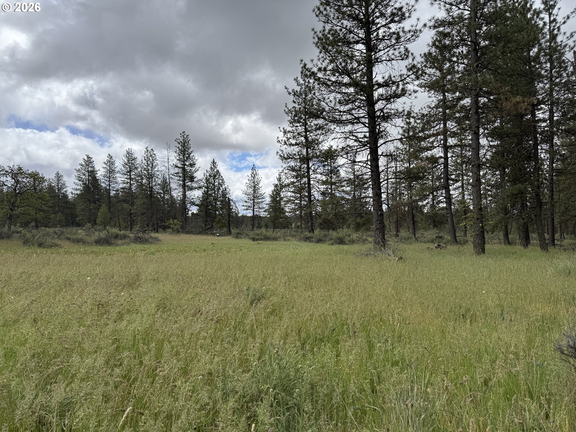 Old Mountain Road Goldendale, WA 98620 - Photo 36 of 41