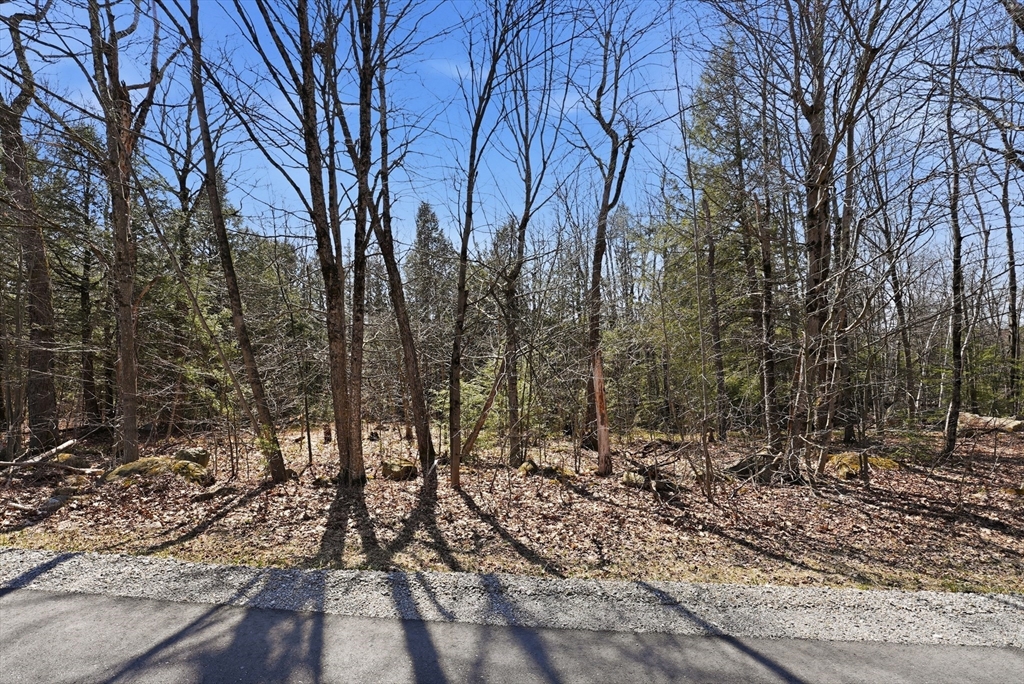 0 Algerie Road Becket, MA 01223 - Photo 4 of 15