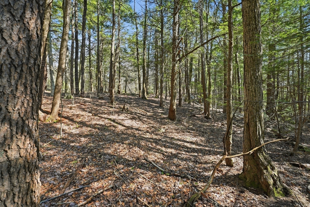 0 Algerie Road Becket, MA 01223 - Photo 5 of 15