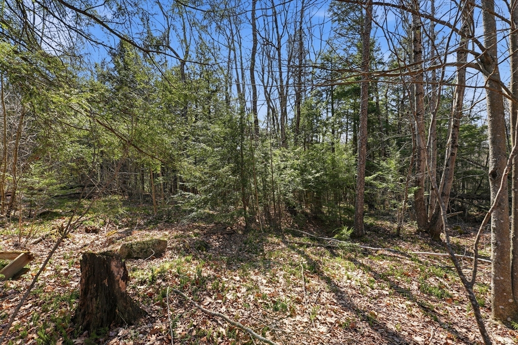 0 Algerie Road Becket, MA 01223 - Photo 6 of 15