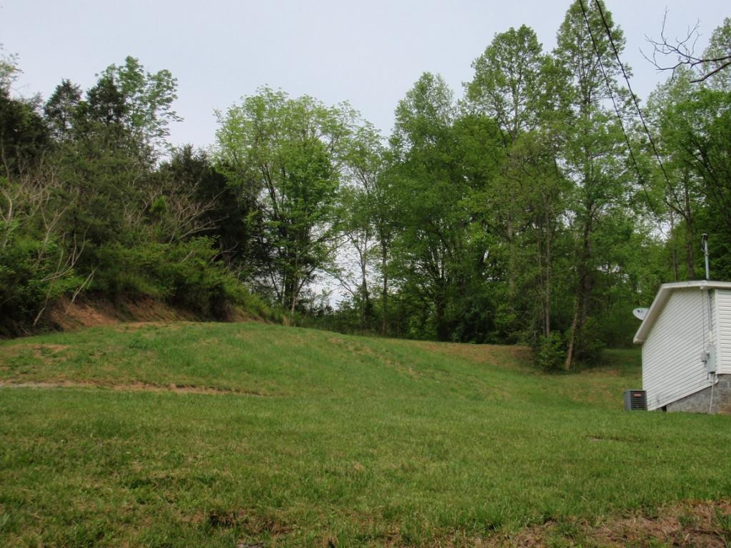 208 Garland Branch Road Watauga, TN 37694 - Photo 4 of 12 Photo 5