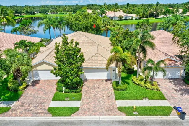 a view of a garden with potted plants