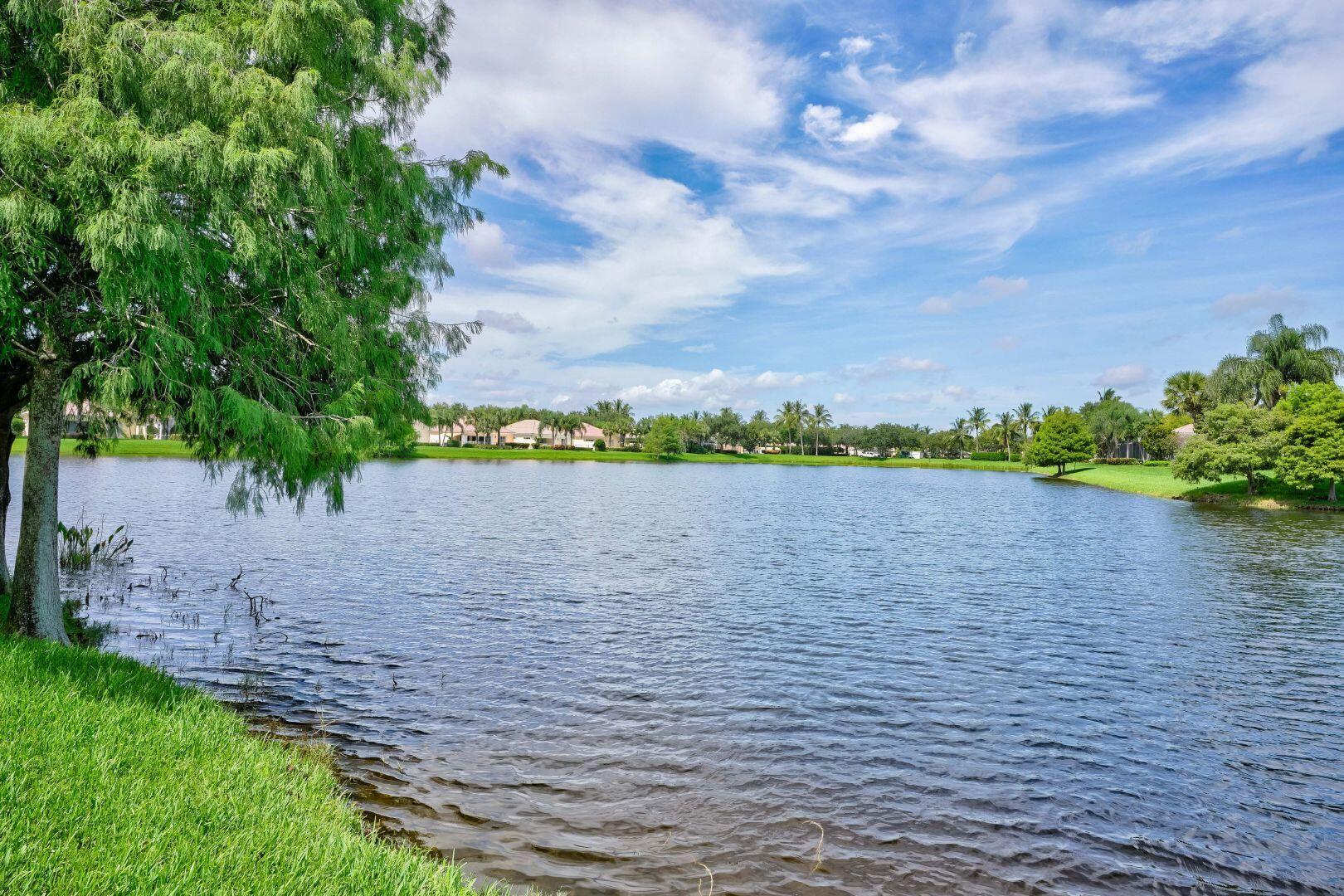 923 Magdalena Road Palm Beach Gardens, FL 33410 - Photo 9 of 47 a view of a lake from a yard